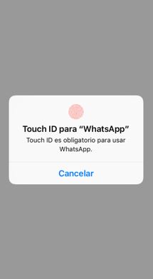 El iPhone te pide que insertes tu huella para entrar a WhatsApp.