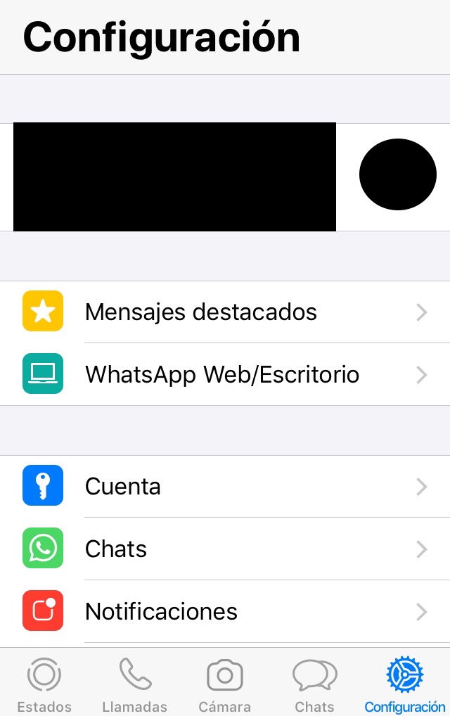 Opción “Chats” dentro de WhatsApp.