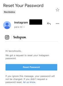 Email de Instagram para restablecer la contraseña con el botón “Reset Password”.