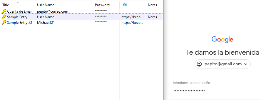 Contraseña copiada del gestor de contraseñas KeePass y pegada en la página de inicio de sesión de una cuenta de Gmail.