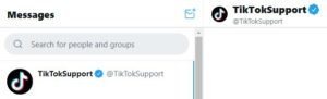 Perfil de Twitter de TikTok con el símbolo azul con una marca de verificación que demuestra que es un perfil verificado.